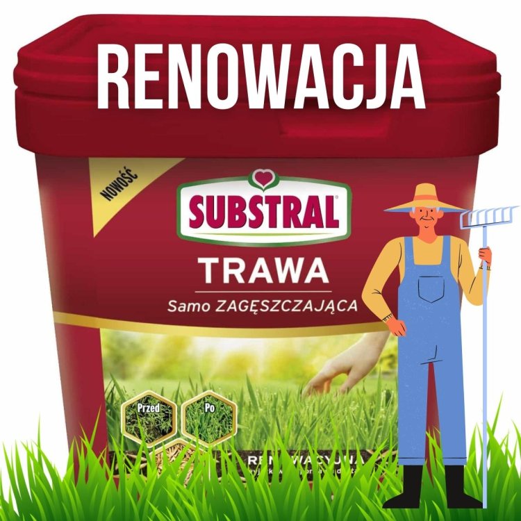 trawa-samo-zageszczajaca-substral-renowacja.jpg