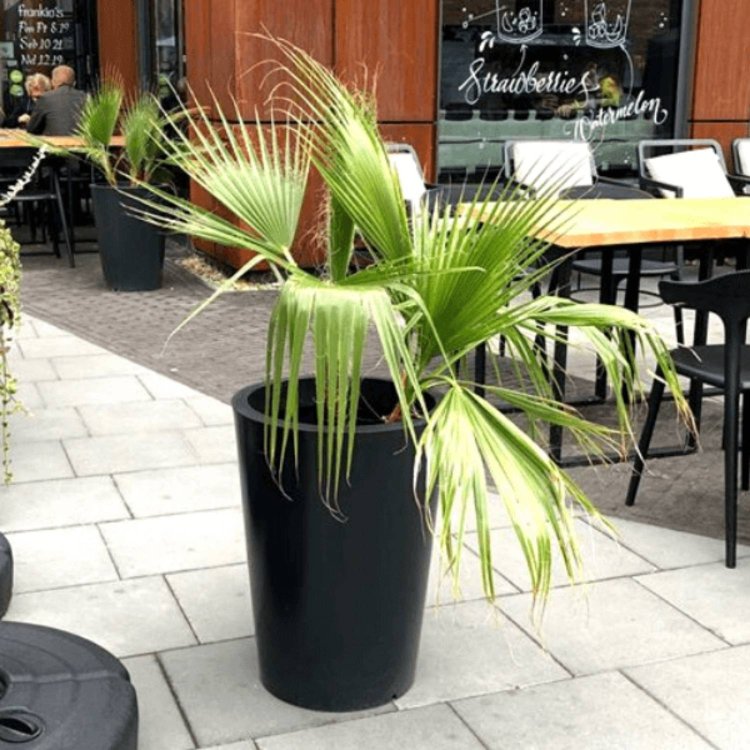 bardzo-duza-donica-ogrodowa-kolorowa (12).jpg