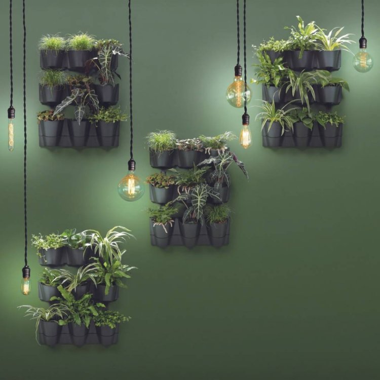 doniczki-wiszące-na-zielona-sciane1.jpg