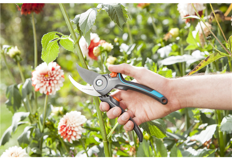 sekator-ogrodowy 7.jpeg.png