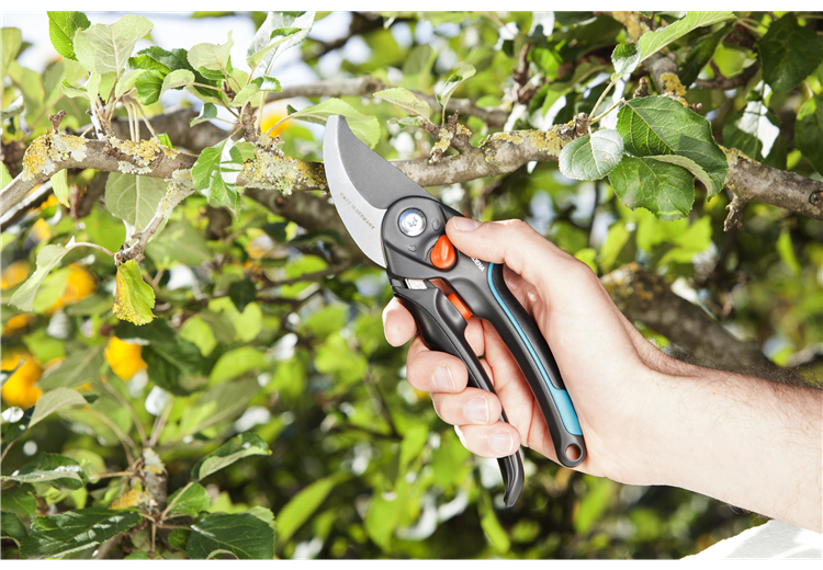 sekator-ogrodowy 8.jpeg.png