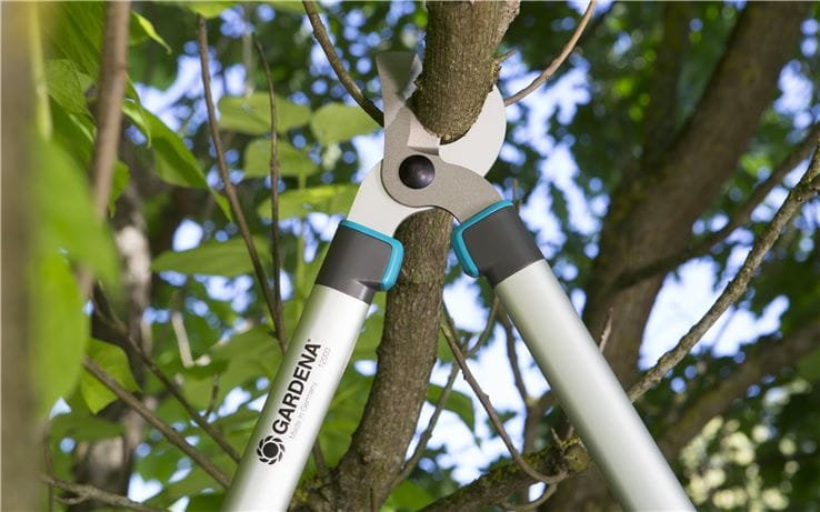 nozyce-do-gałęzi 8.jpeg