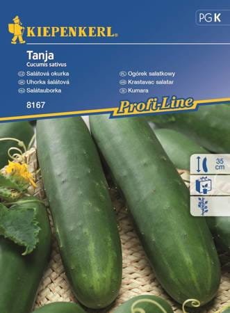 ogórek-szklarniowy-tanja.jpg