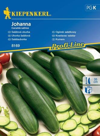 ogorek-salatkowy-joahnna.jpg