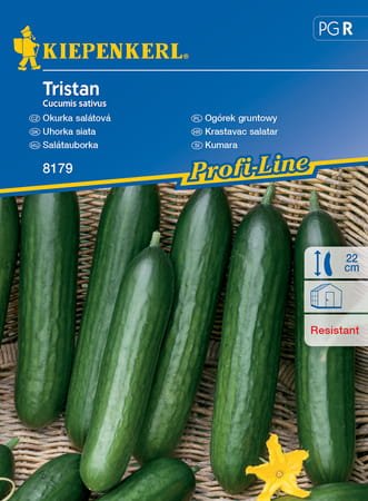 ogorek-gruntowy-tristan.jpg