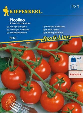 pomidor-picolino.jpeg