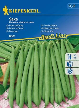 fasola-saxa.jpeg