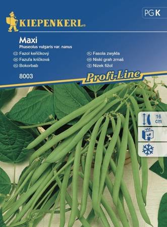 fasola-maxi.jpeg