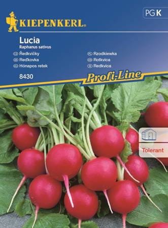 rzodkiewka-lucia.jpeg