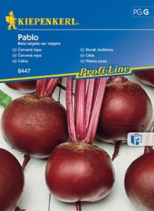 burak-pablo.jpeg