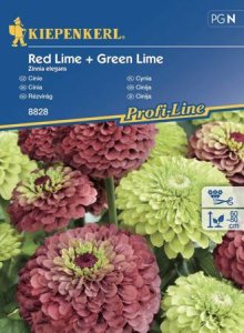 cynia-red-green-lime.jpeg