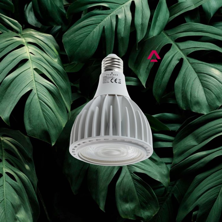 lampa-do-roslin-led29.jpg