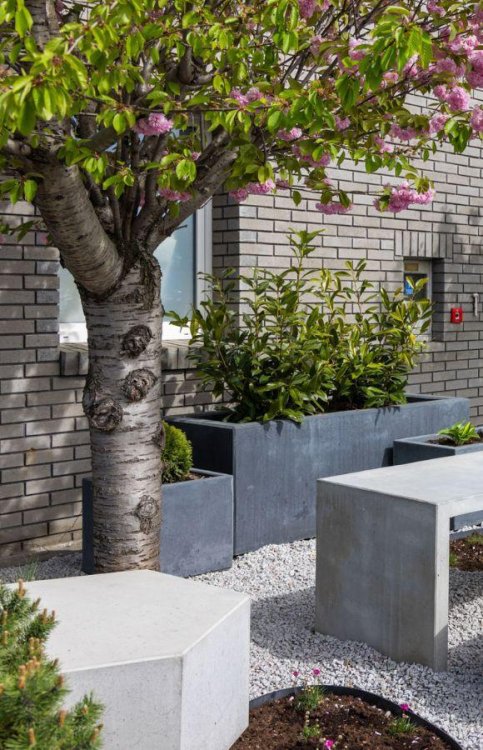 stolik-betonowy2024-12-19 o 14.08.16 4.jpeg