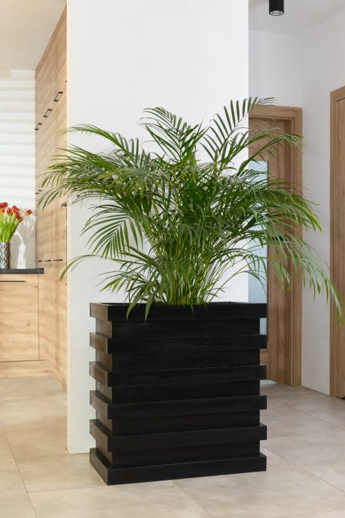 donica-pluton-482025-02-03 o 08.55.26 10.jpg