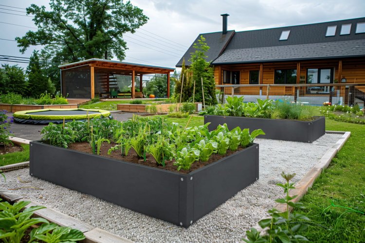 grządka-na-warzywa2025-02-14 o 10.56.43 12.jpg