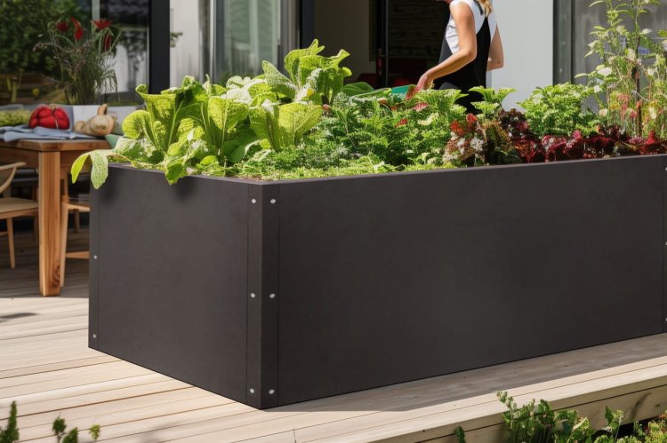 grządka-na-warzywa2025-02-14 o 10.56.43 13.jpg