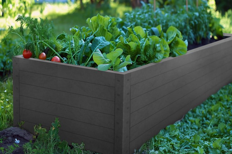 grządka-na-warzywa2025-02-14 o 10.56.43 20.jpg