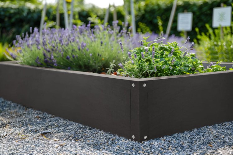 grządka-na-warzywa2025-02-14 o 10.56.43 8.jpg