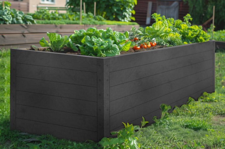 grządka-na-warzywa2025-02-14 o 10.56.43 23.jpg