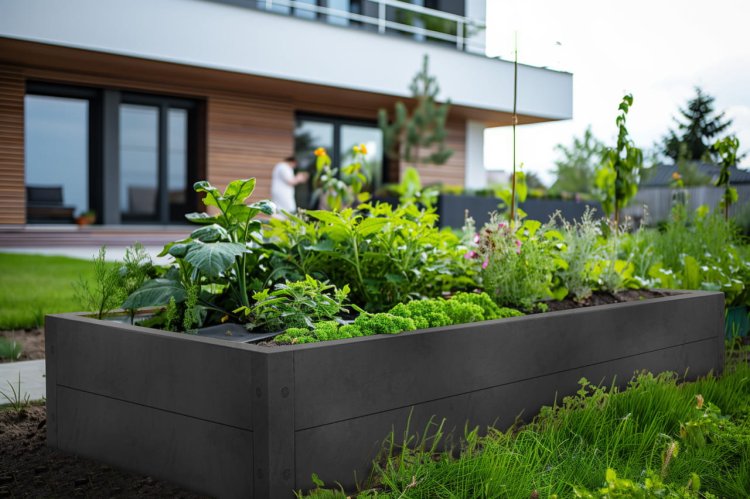 grządka-na-warzywa2025-02-14 o 10.56.43 29.jpg