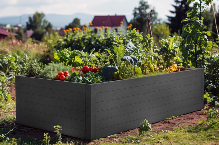 grządka-na-warzywa2025-02-14 o 10.56.43 27.jpg