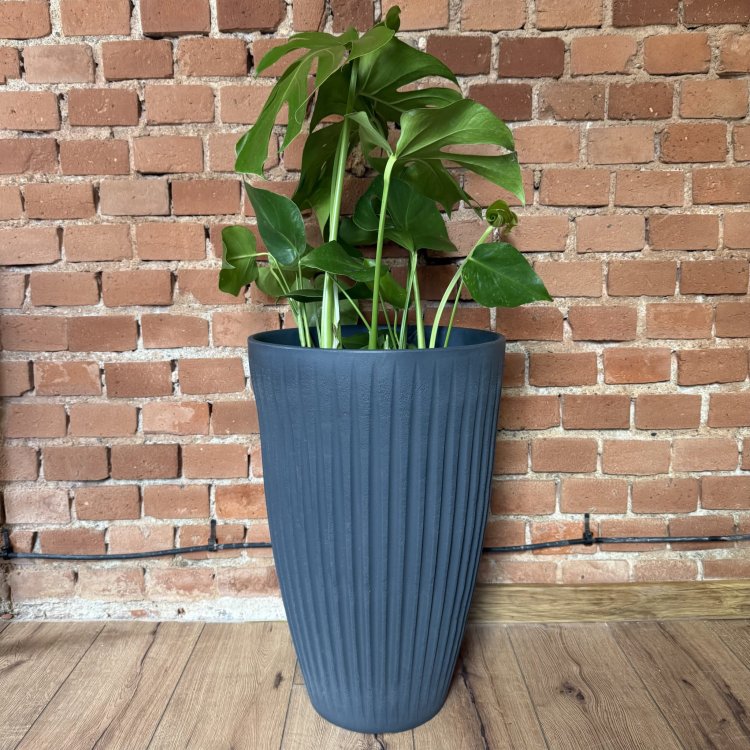 donica-latia-round-midl2025-03-04 o 13.28.28 10.jpg