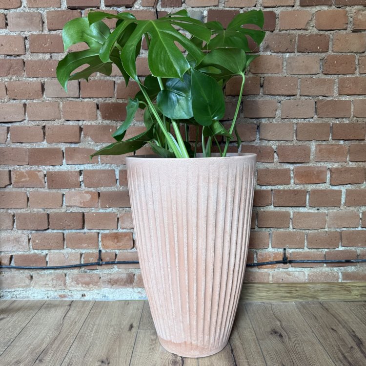 donica-latia-round-midl2025-03-04 o 13.28.28 8.jpg