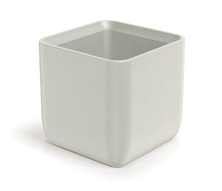 donica-molta-square2025-03-05 o 14.00.16 3.jpg