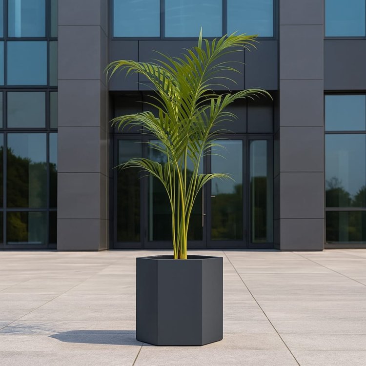 nowoczesna-donica-do-biura 6.jpeg