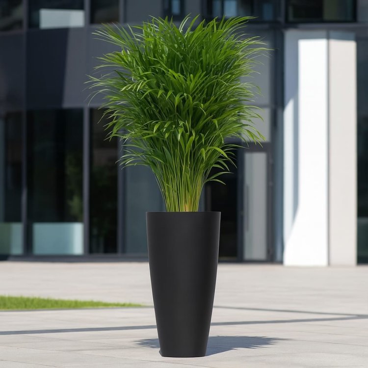 nowoczesna-donica-do-biura 3.jpeg