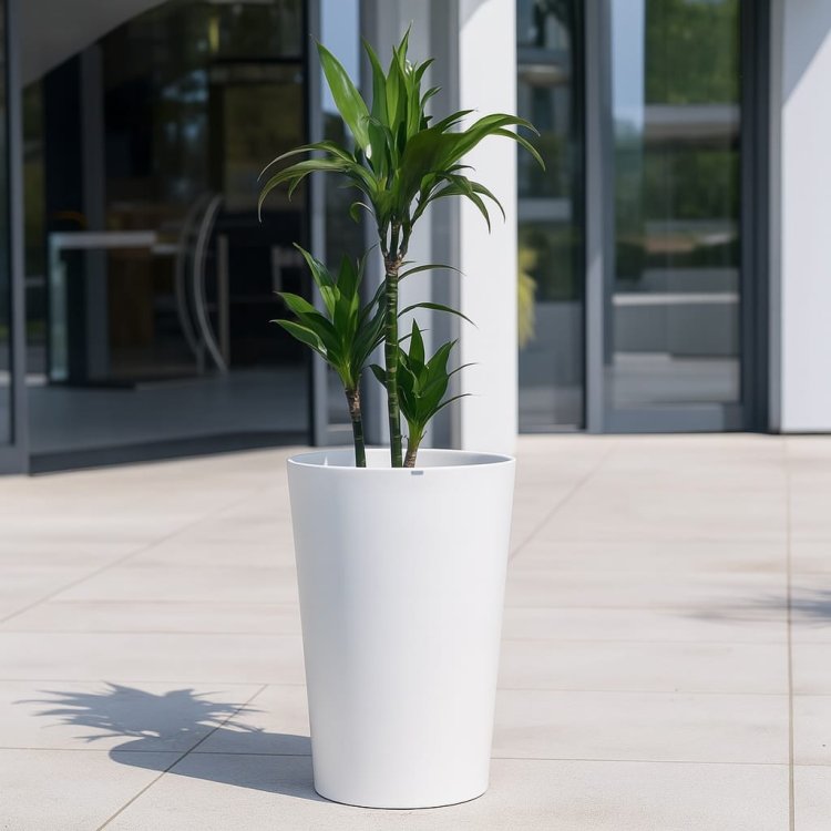 nowoczesna-donica-do-biura 2.jpeg