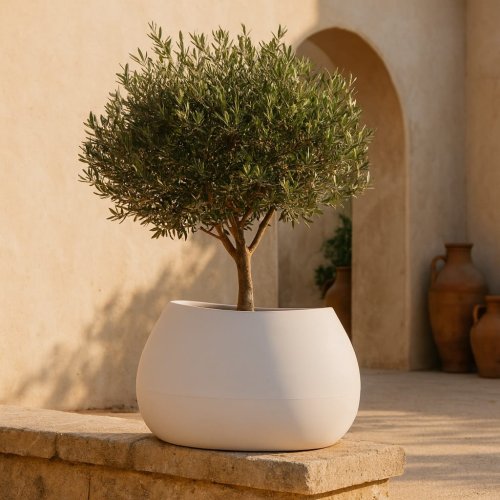donica-evolia-60x50x38h-tev60-aranzacja-ogrod