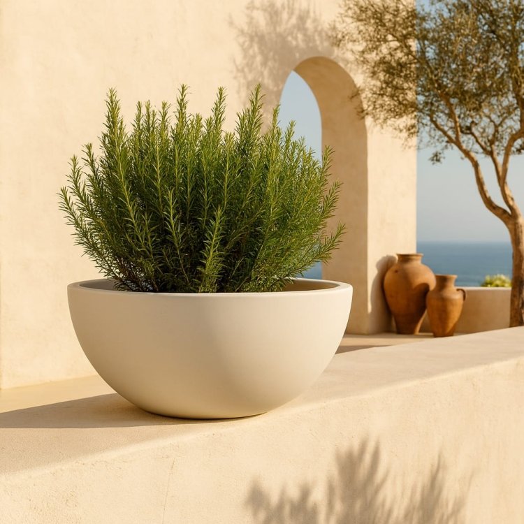 donica-molio-bowl-jasna-aranzacja-taras