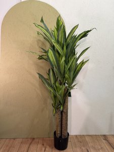 sztuczna-dracena-w-doniczce2.jpeg