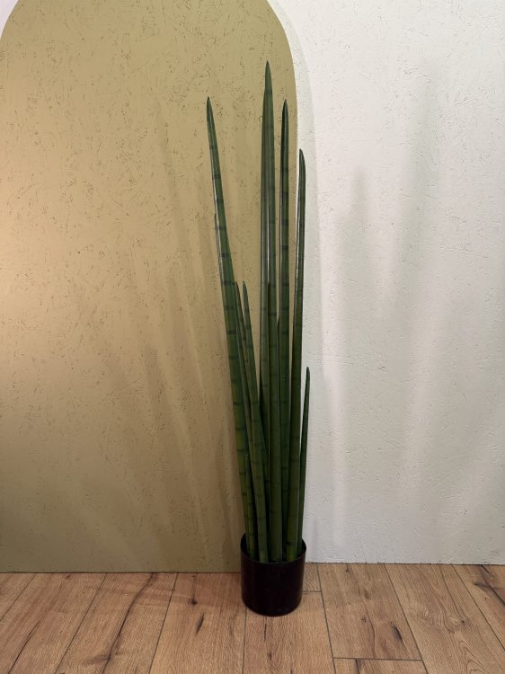 sztuczna-sansewieria-w-doniczce15.jpeg