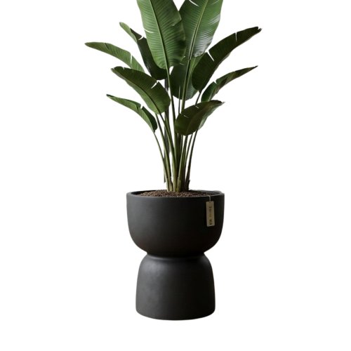 duza donica czarna .jpg