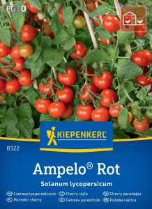 pomidor-wiśniowy-ampelo-kiepenkerl1.jpg