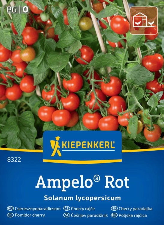pomidor-wiśniowy-ampelo-kiepenkerl1.jpg