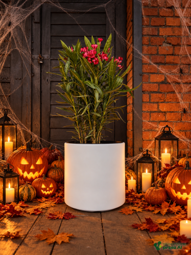 Donica Heos – jesienna aranżacja Halloween (AI)