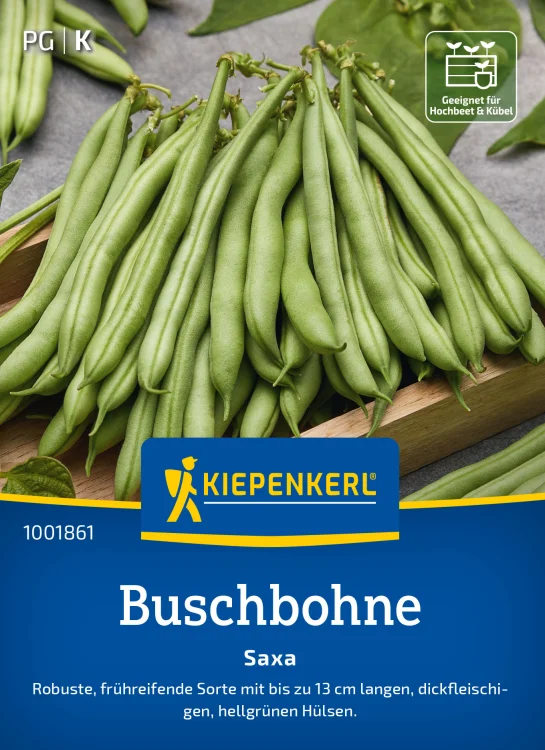 Nasiona Fasola szparagowa "Saxa" Kiepenkerl