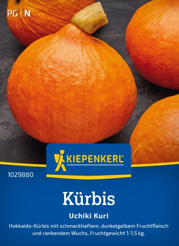 Nasiona Dynia hokkaido "Uchiki Kuri" Kiepenkerl
