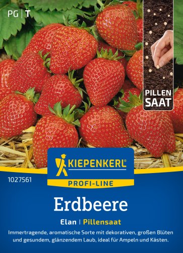 Nasiona Truskawka "Elan" Kiepenkerl
