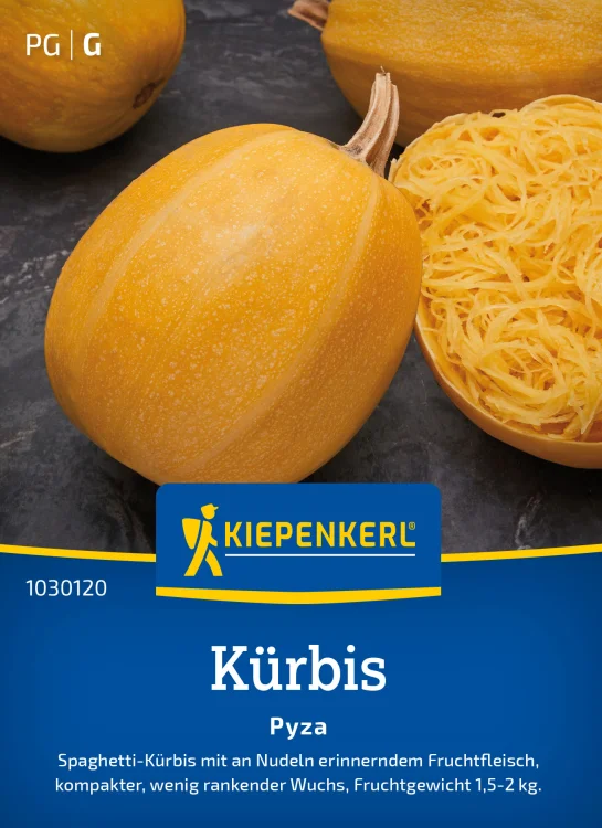 Nasiona Dynia makaronowa "Pyza" Kiepenkerl