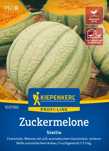 Nasiona Melon cukrowy "Stellio" Kiepenkerl