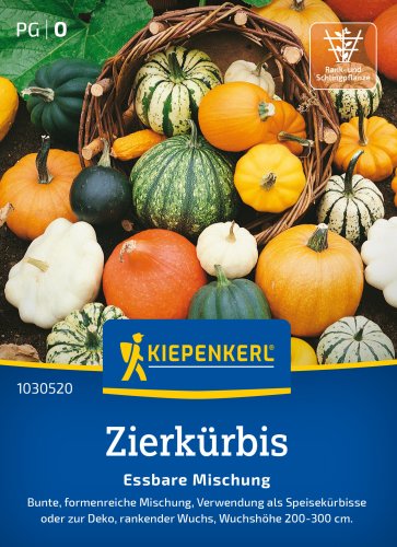 Nasiona Dynia ozdobna Mix Kiepenkerl