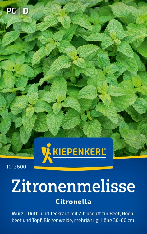 Nasiona Melisa cytrynowa Kiepenkerl
