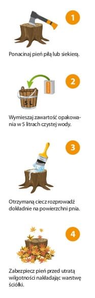 grzybnia 1.jpg