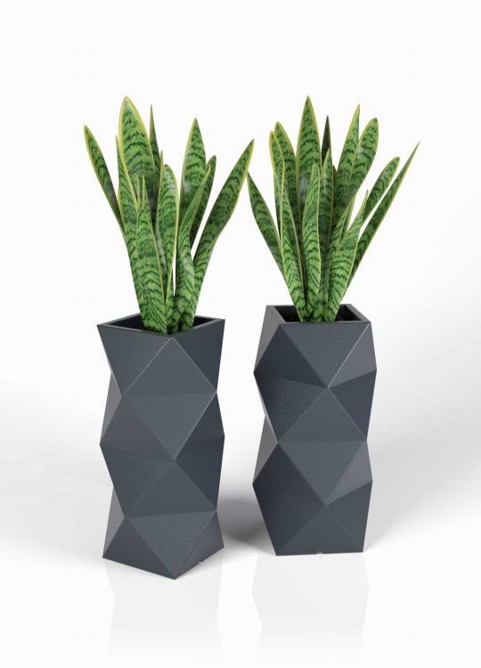 Duża Asti-Zestaw-Plant.jpg