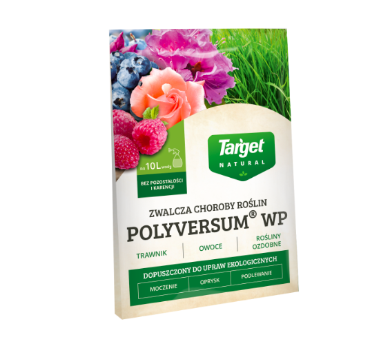 polyversum środek.jpg