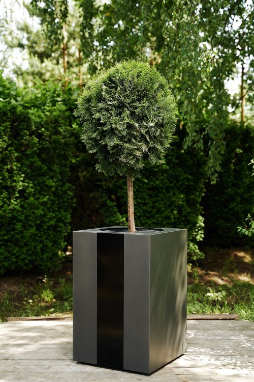 Classic 50x50x75.JPG